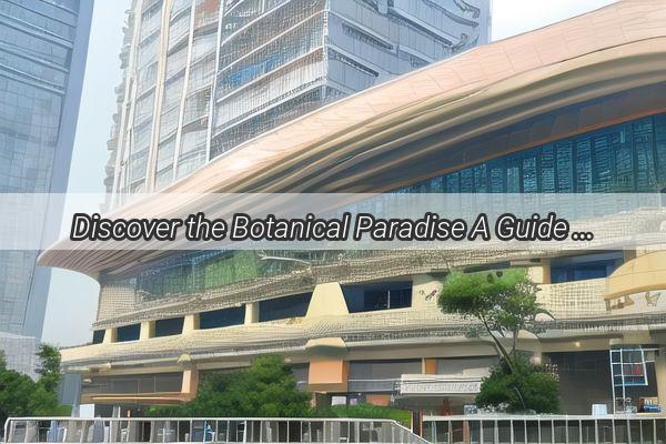 Discover the Botanical Paradise A Guide to the Best Flower Markets in Guangzhou